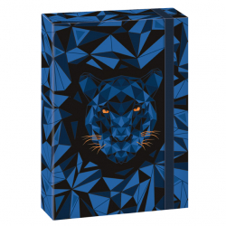 Box na zoity A4 Black Panther  ARS UNA