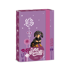 kolsk box A5 Cute animals Puppy ARS UNA